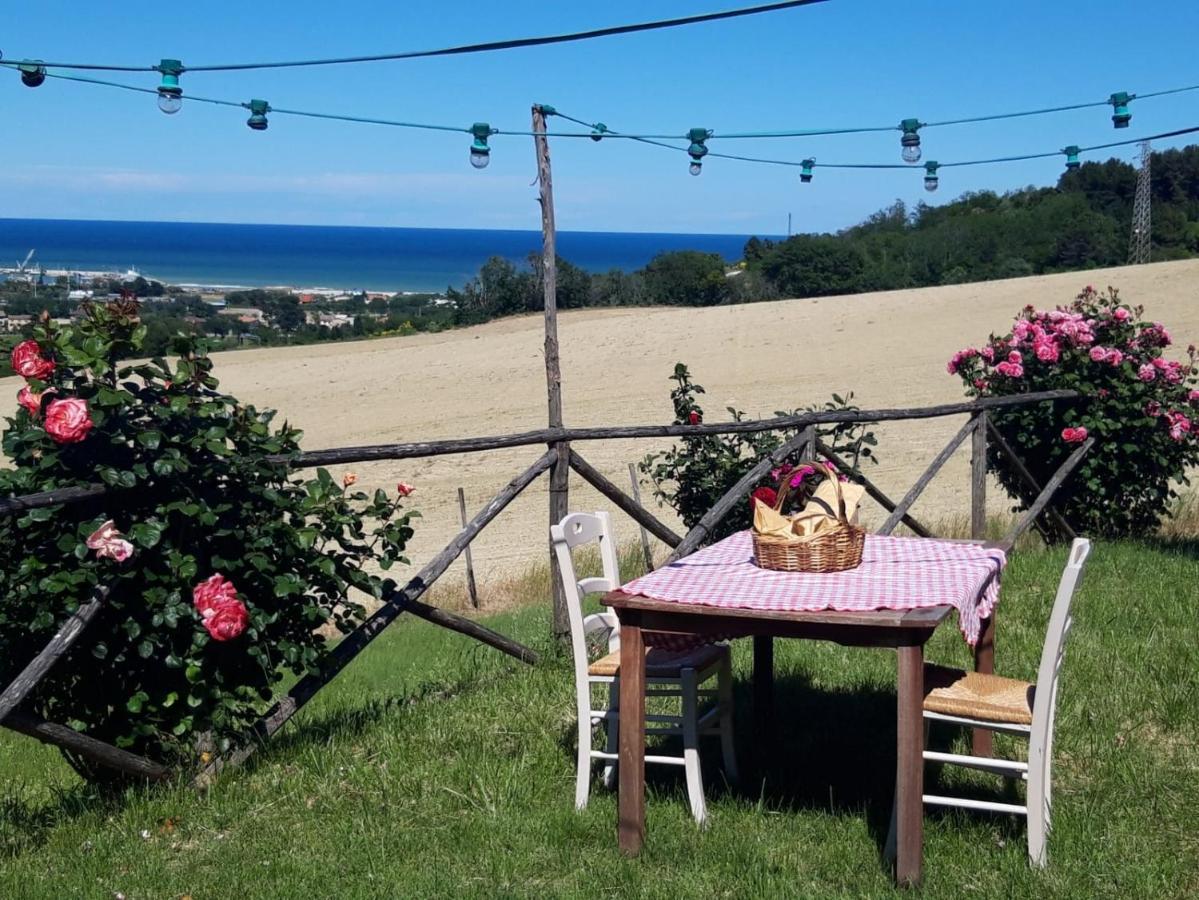Agricampeggio Abbruzzetti مارينا بالمينس المظهر الخارجي الصورة