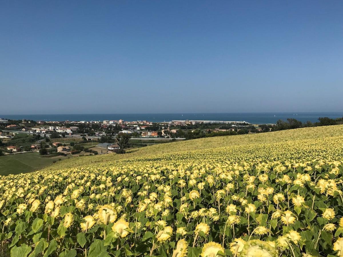 Agricampeggio Abbruzzetti مارينا بالمينس المظهر الخارجي الصورة